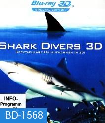 SHARK DIVERS 3D