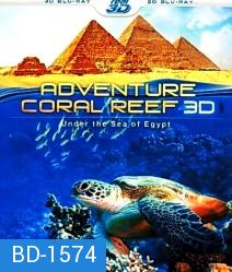 Coral Reef Adventure 3D