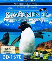 Patagonia Von Camarones Bis Darwins Rock 3D