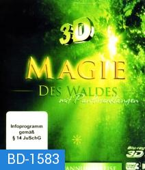 Magie des Waldes - mit Panflötenklängen (3D)