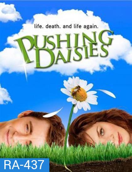 Pushing Daisies Season 1 : นักสืบสัมผัสมหัศจรรย์ ปี 1