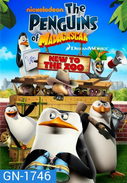 Penguins of Madagascar เพนกวินจอมป่วน ก๊วนมาดากัสก้า