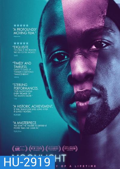 Moonlight มูนไลท์ ใต้แสงจันทร์ ทุกคนฝันถึงความรัก