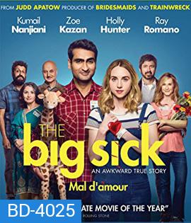 The Big Sick (2017) รักมันป่วย (ซวยแล้วเราเข้ากันไม่ได้)