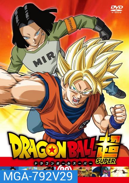 Dragon Ball Super Vol.29