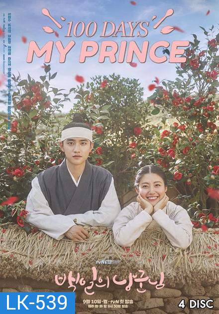 100 Days My Prince  ( 16 ตอนจบ )