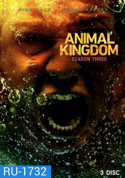 ANIMAL KINGDOM ตระกูลชั่ว ครอบครัวโจร SEASON 3 ( 13 ตอนจบ )