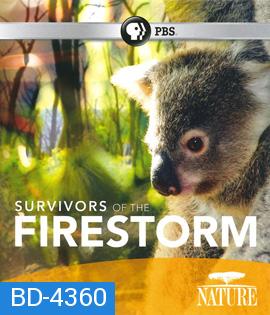 Nature: Survivors of the Firestorm