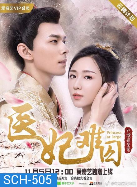 Princess At Large พระชายาลอยนวล 1 ( Ep 1-12 จบ )