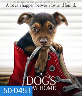 A Dog's Way Home (2019) เพื่อนรักผจญภัยสี่ร้อยไมล์