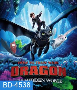 How to Train Your Dragon: The Hidden World (2019) อภินิหารไวกิ้งพิชิตมังกร 3