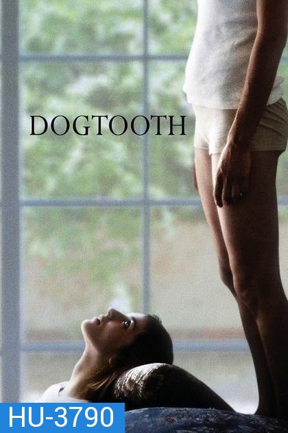 Dogtooth 2009 ครอบครัววิปลาศ  18+