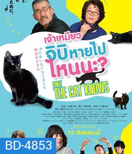 Only The Cat Knows (2019) เจ้าเหมียวจิบิ หายไปไหนนะ