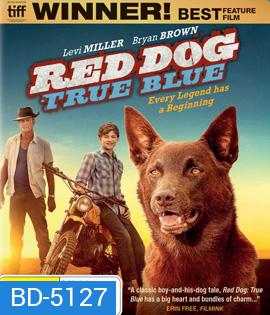 Red Dog: True Blue (2016)