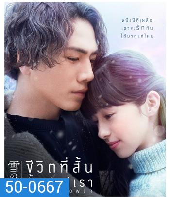 Snow Flower (2019) ชีวิตที่สั้น นั้นมีแค่เรา