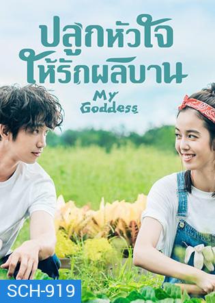 My Goddess (2018) ปลูกหัวใจให้รักผลิบาน