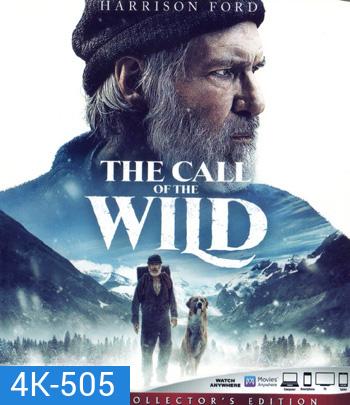 4K - The Call of the Wild (2020) เสียงเพรียกจากพงไพร - แผ่นหนัง 4K UHD
