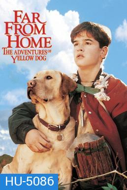 Far from Home: The Adventures of Yellow Dog 1995  เพื่อนรักแสนรู้