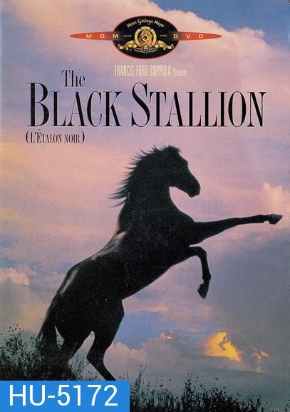 The Black Stallion (1979) อาชาเพื่อนยาก