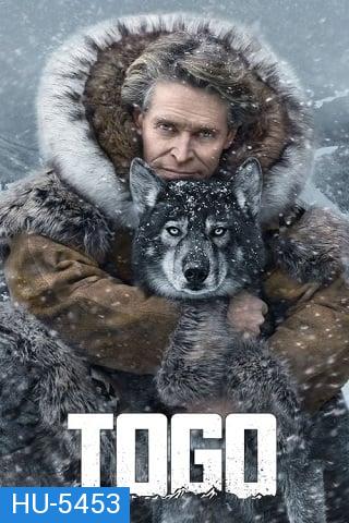 Togo (2019) หมาป่า โตโก