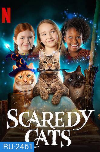 Scaredy Cats (2021) แมวเหมียวขี้กลัว Season 1