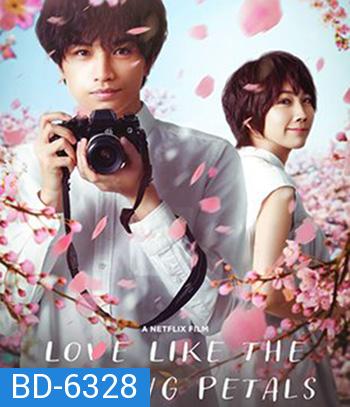 Love Like the Falling Petals (2022)