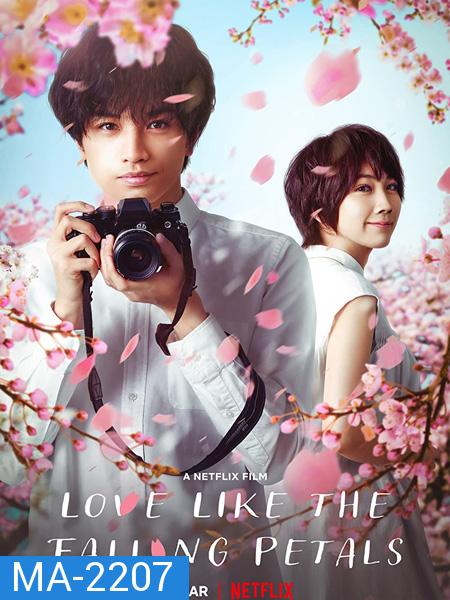 Love Like The Falling Petals (2022)