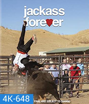 4K - Jackass Forever (2022) แจ็คแอส ฟอร์เอฟเวอร์ - แผ่นหนัง 4K UHD