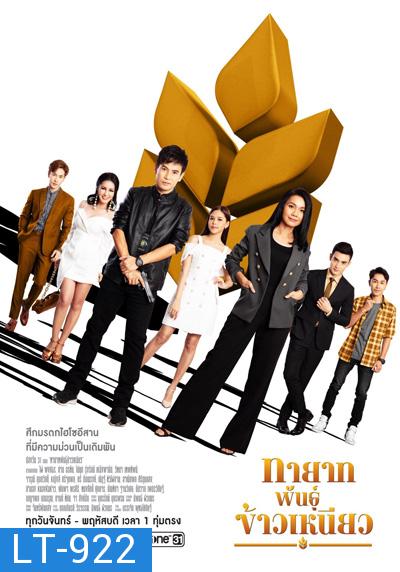 ทายาทพันธุ์ข้าวเหนียว (Thayat Phan Khaoniao) 46 ตอนจบ