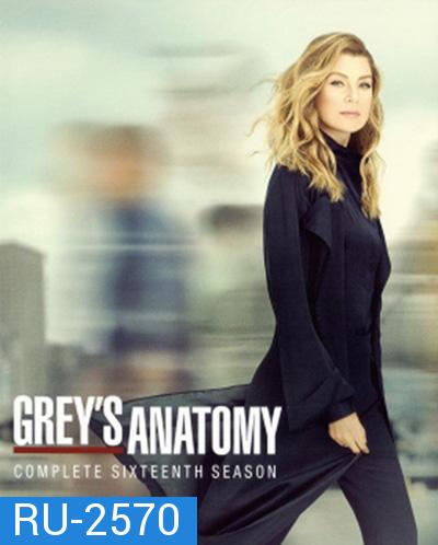 Grey's anatomy Season 16 แพทย์มือใหม่หัวใจเกินร้อย ปี 16 (21 ตอนจบ)