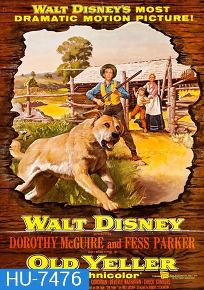 Old Yeller (1957) เพือนแท้คู่ชีวิต,สุนัขล่าคู่ชีวิต