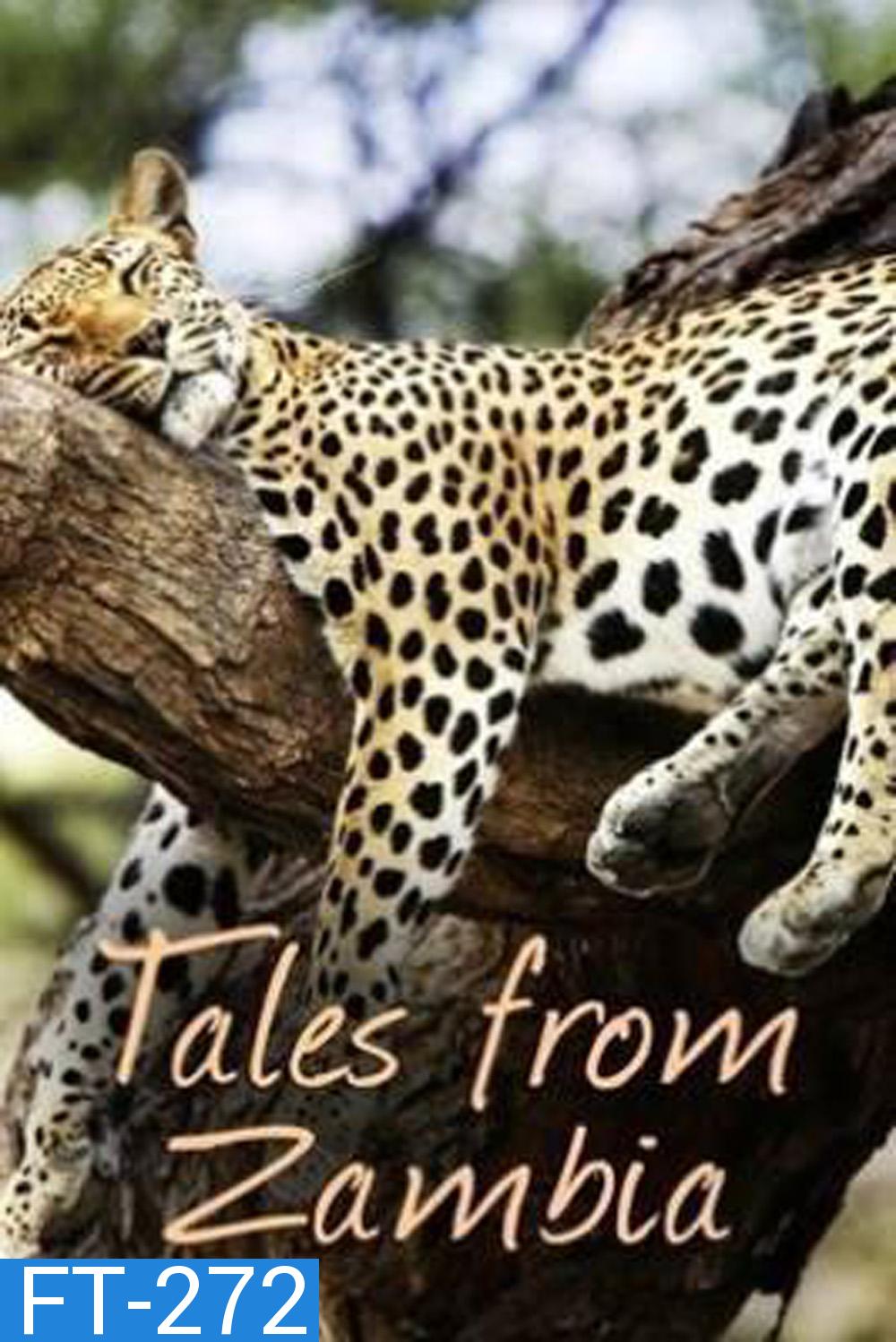 (ตอนที่ 5-7 ไม่มีซับ)Tales From Zambia เทพนิยายจากแซมเบีย (2016) 7 ตอน