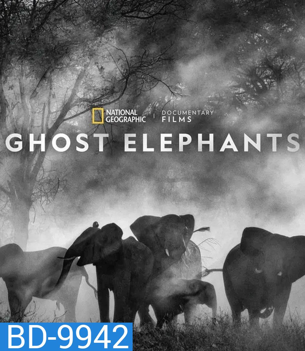 Ghost Elephants (2025)