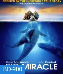 Big miracle ปาฏิหาริย์วาฬสีเทา