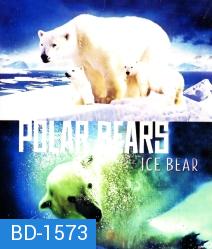 Polar Bears: Ice Bear