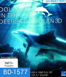 Dolphins in the Deep Blue Ocean 3D