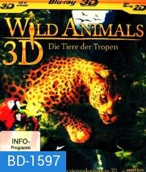 Wild Animals 3D - Die Tiere der Tropen