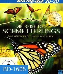 Die Reise des Schmetterlings - Das Geheimnis des Monarchfalters