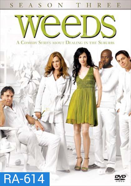 Weeds Season 3 : หม่ายชุลมุน ปี 3