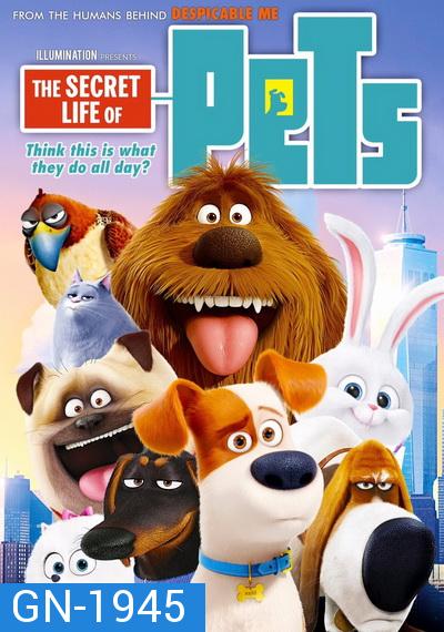 The secret life of pets  เรื่องลับแก๊งขนฟู