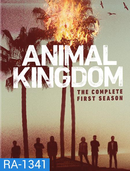 Animal Kingdom : The Complete 1st Season ตระกูลชั่ว ครอบครัวโจร ปี 1 ( 10 ตอนจบ )