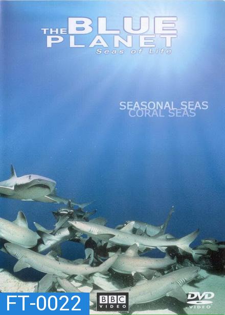 BLUE PLANET ตอน SEASONAL SEAS