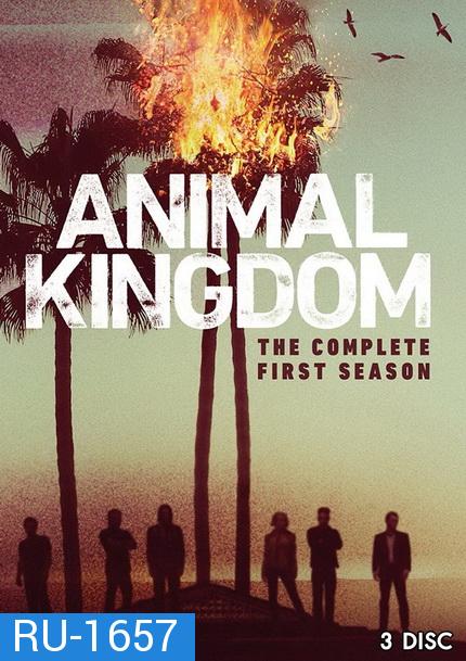 ANIMAL KINGDOM  ตระกูลชั่ว ครอบครัวโจร SEASON 1 ( 10 ตอนจบ )