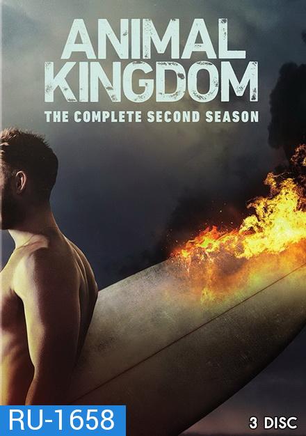 ANIMAL KINGDOM ตระกูลชั่ว ครอบครัวโจร SEASON 2 ( 13 ตอนจบ )