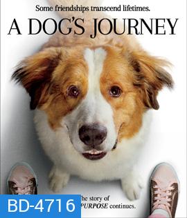 A Dog's Journey (2019) หมา เป้าหมาย และเด็กชายของผม 2