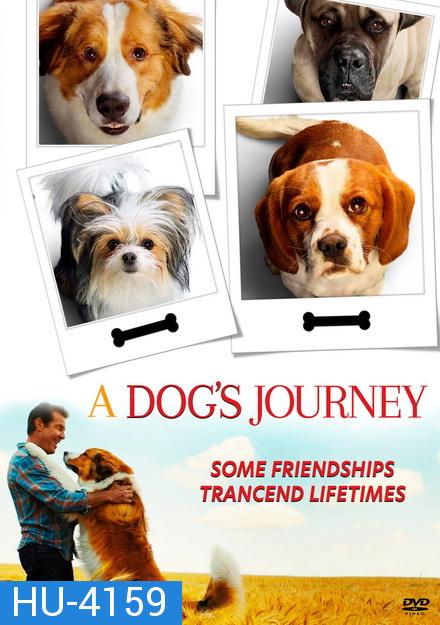 A Dog's Journey หมา เป้าหมาย และเด็กชายของผม 2