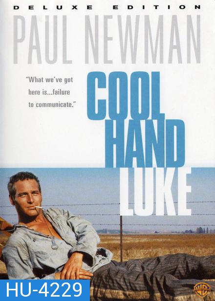 Cool Hand Luke (1967)  คนสู้คน