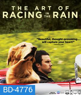 The Art of Racing in the Rain (2019) อุ่นไอหัวใจตูบ