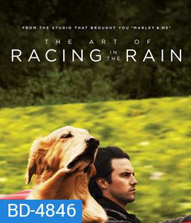 The Art of Racing in the Rain (2019) อุ่นไอหัวใจตูบ