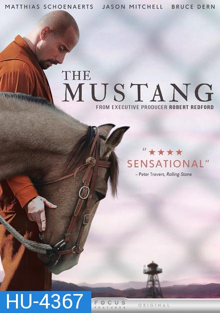 The Mustang (2019)